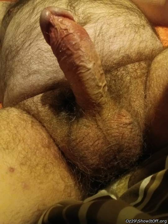 Photo of a bald-headed mouse from Oz29