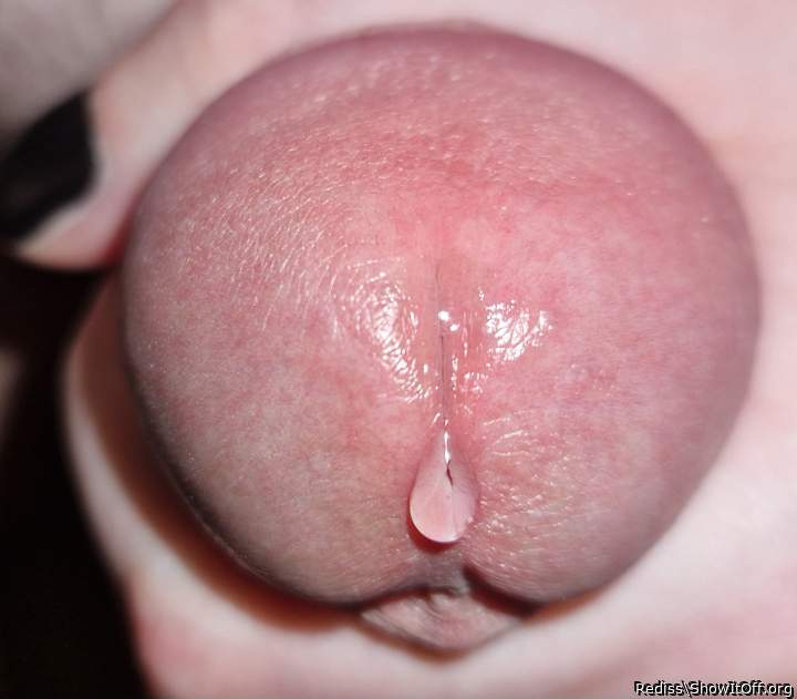 Oh baby, let me lick that precum off your gorgous COCK!