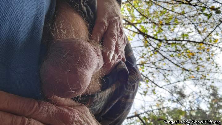 Great picture of your hairy nuts.    They will have to fall 