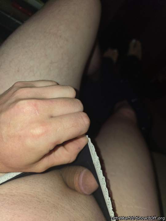 Photo of a cock from LittleMan20