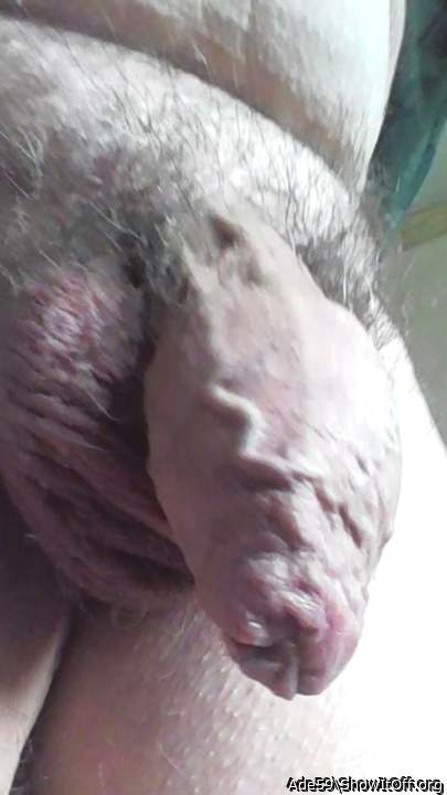 Photo of a bald-headed mouse from Ade59