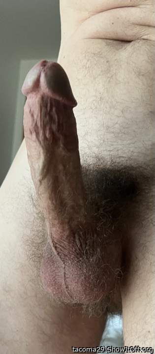 Beautiful hard cock, love your pubes