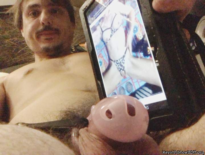 Photo of a weasel from Kevin3