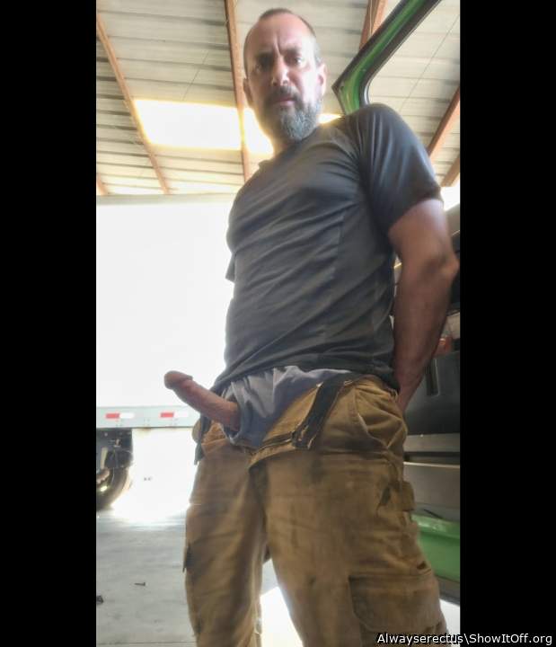 Photo of a bald-headed mouse from Alwayserectus