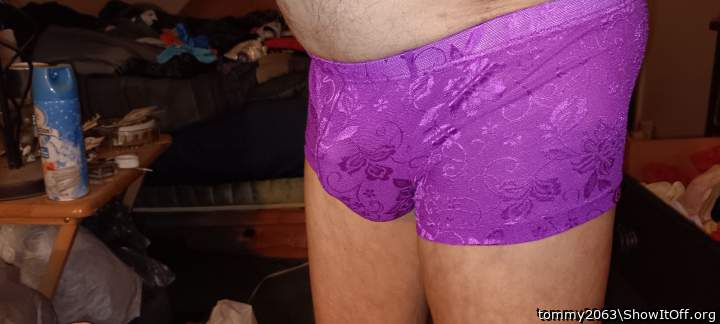 Photo of a lizard from tommy2063