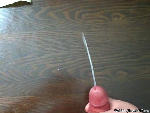 Photo of a cock from Walddo