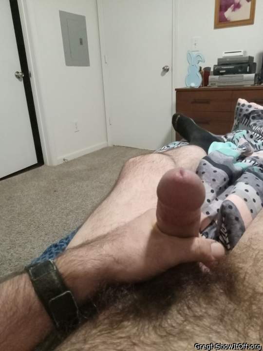 Photo of a python from Gregf