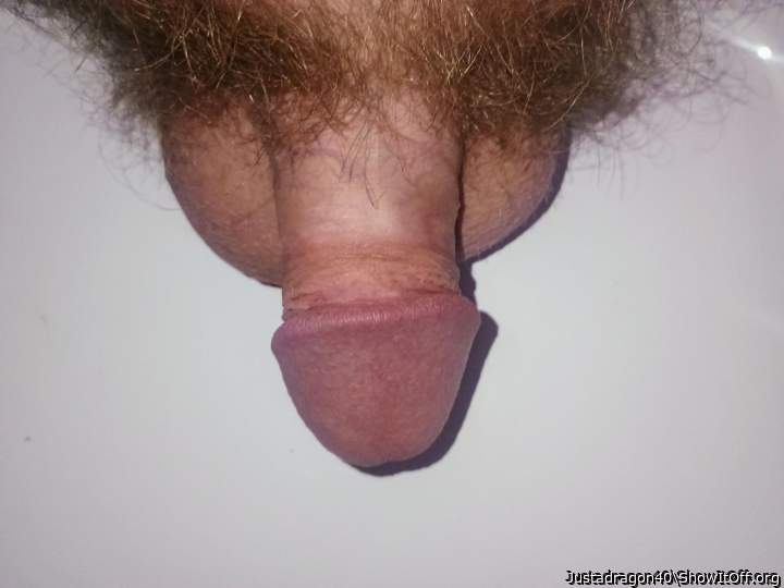 Photo of a hot dog from Justadragon40