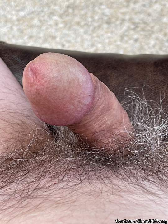 Photo of a middle leg from slow2cum