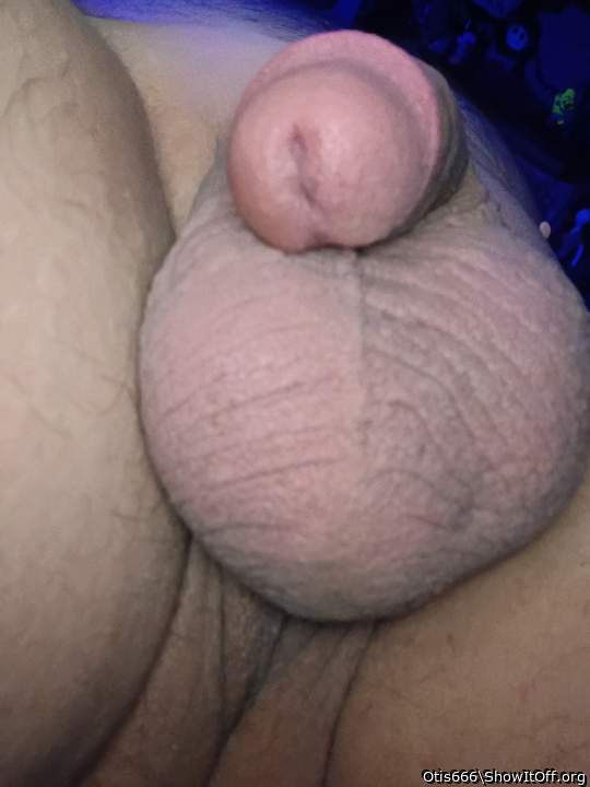 Photo of a pocket rocket from Otis666