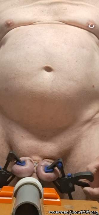Testicles Photo from roverman
