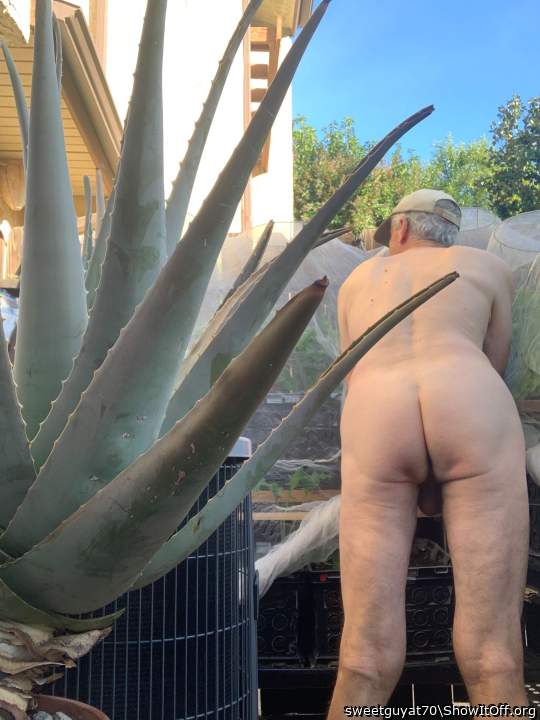 Back side au natural