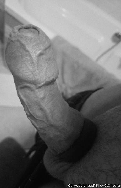 Photo of a penile from Curvedbighead