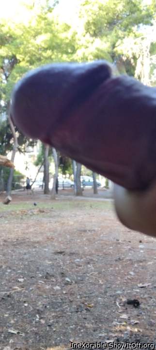 Public masturbation