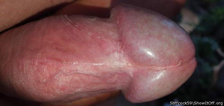 Photo of a penile from Stiffcock59