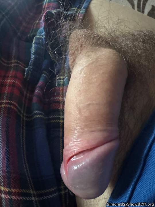 Photo of a phallus from Simons32