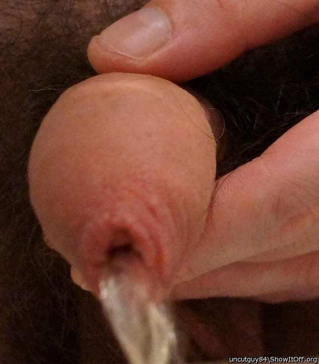 Photo of a cock from uncutguy84