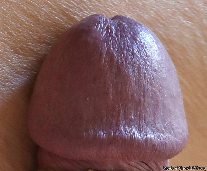My Plum