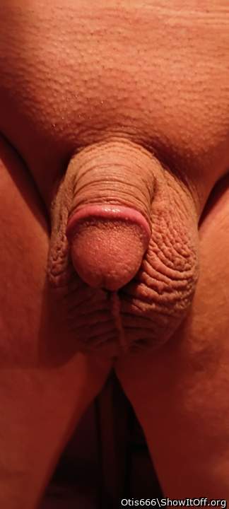 Photo of a power tool from Otis666