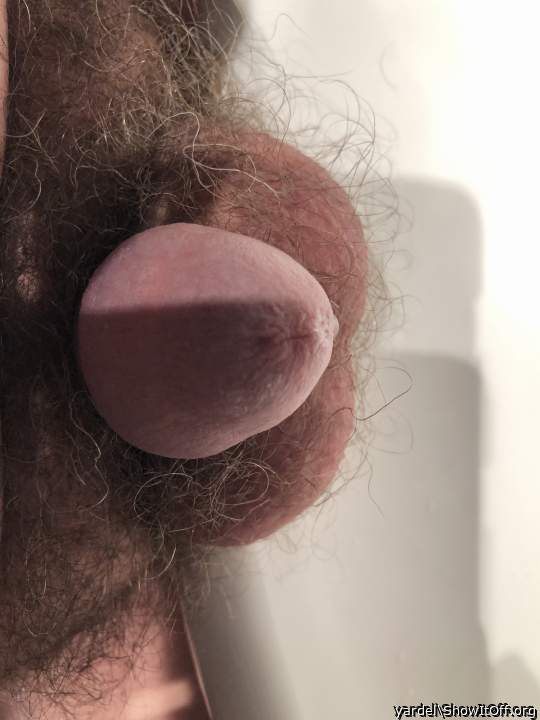 Nice and small hairy natural cock
