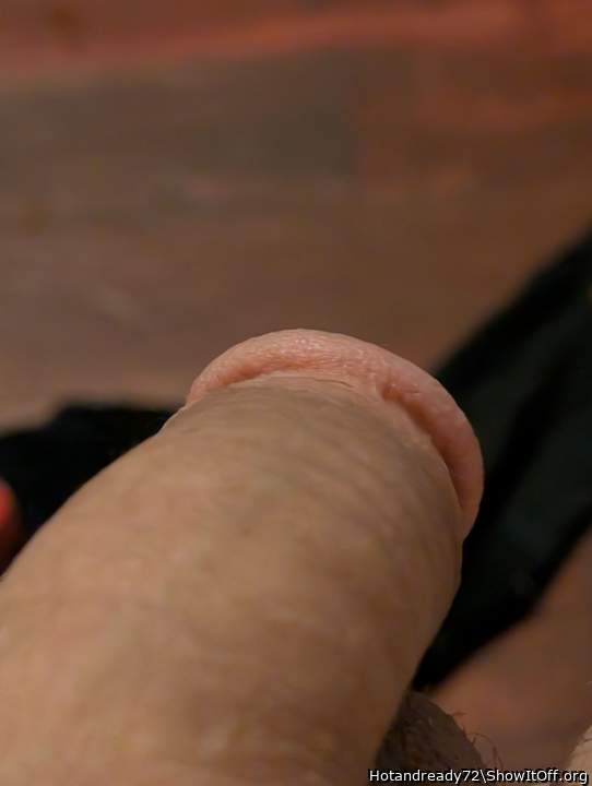 Photo of a python from Hotandready72
