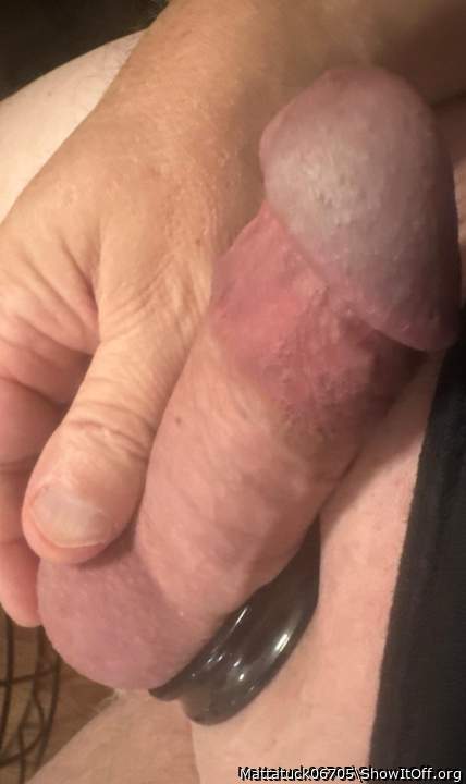 Photo of a cavalier from Mattatuck06705