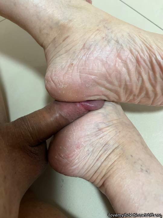 Photo of a cavalier from ilovemydick