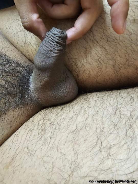 Photo of a weasel from uncutnunhung