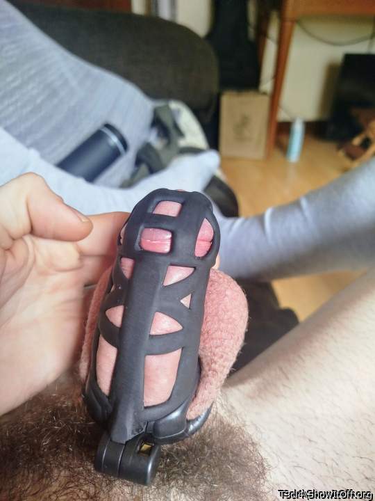 Photo of a dick from T3cl4