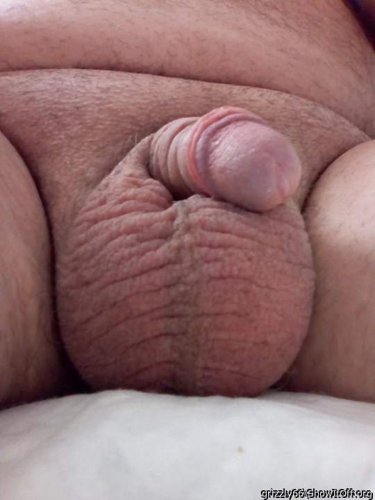 Photo of a short leg from grizzly66
