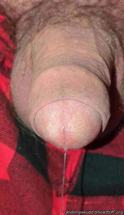 Photo of a drain pipe from randompseudo
