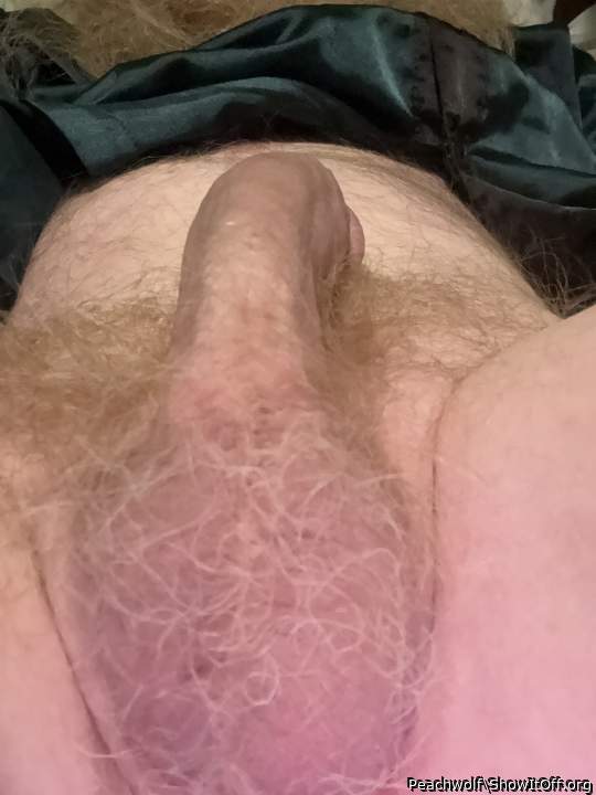 Photo of a cavalier from Peachwolf