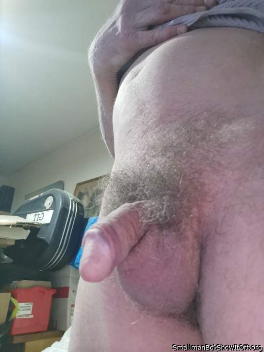 Do i need a bush