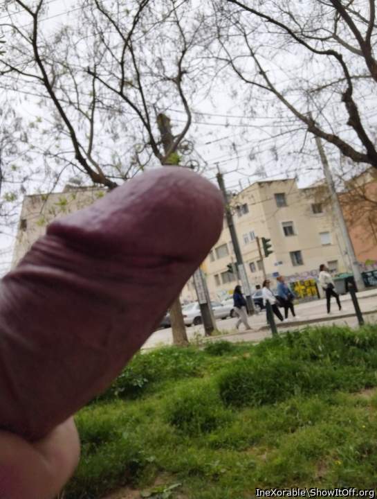 Masturbation in public