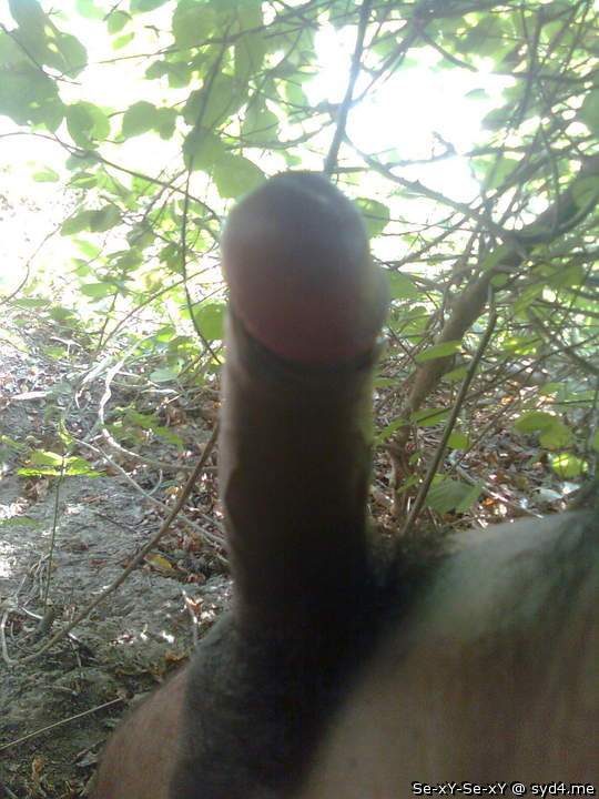 Photo of a dick from Se-xY-Se-xY