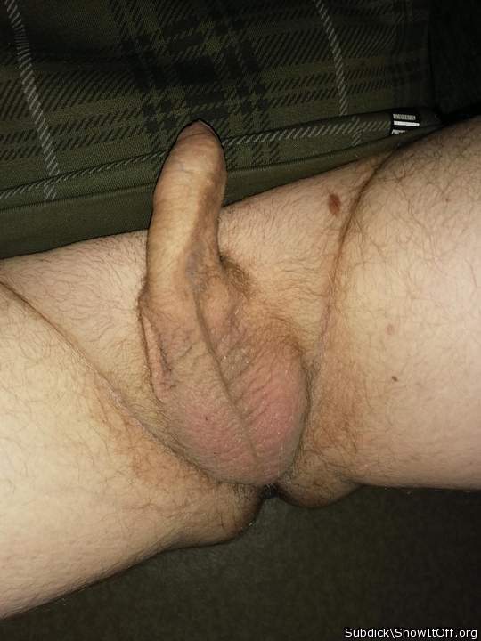 Photo of a short leg from Subdick