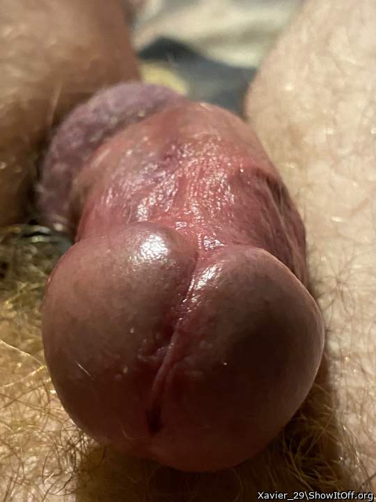 Photo of a tool from Xavier_29