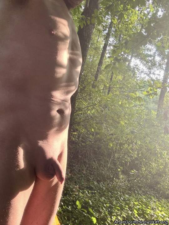 Photo of a third leg from ArjanDordt
