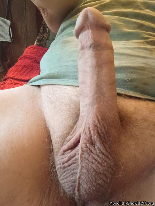 Photo of a weasel from Monolith