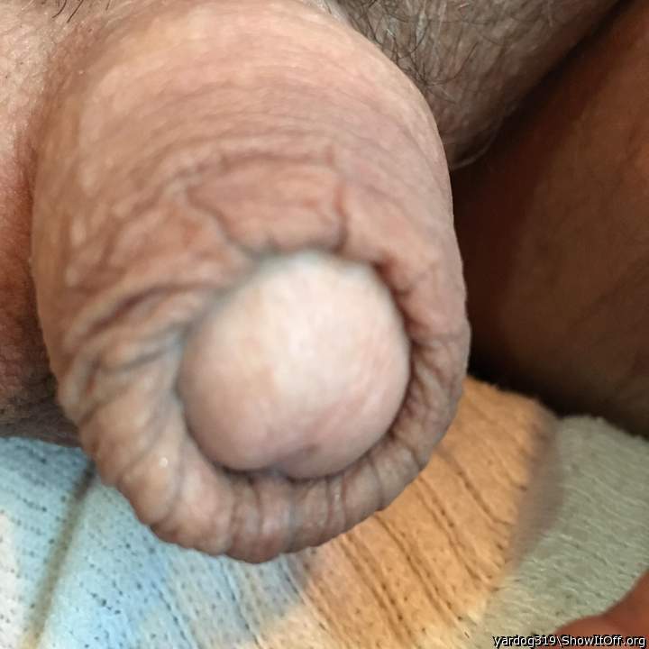 Very sexy uncut soft cock