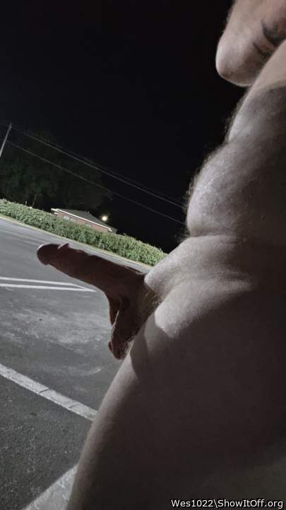 Photo of a pecker from Wes1022