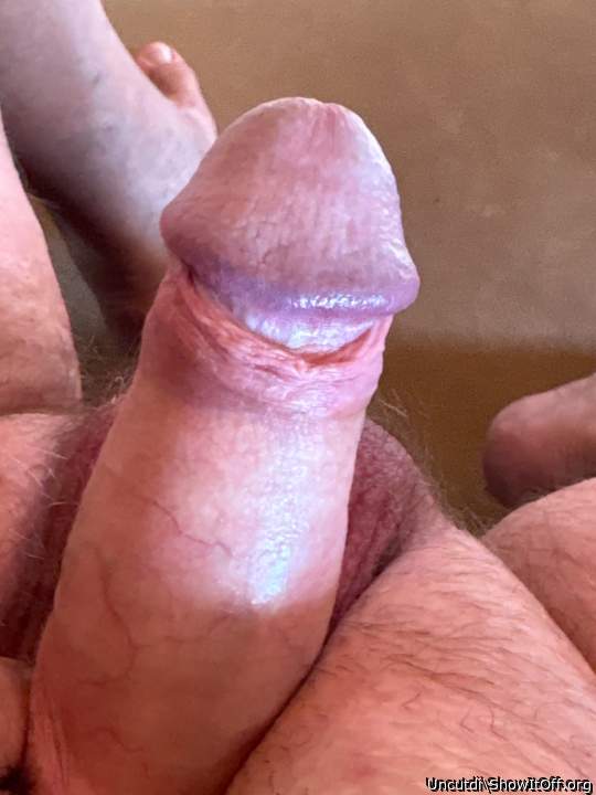 Photo of a member from Uncutdi