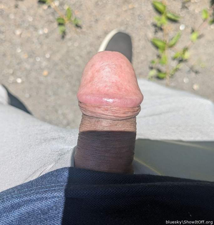 Photo of a phallus from bluesky