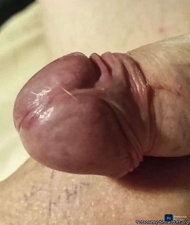 Photo of a stiffie from Notsosexy