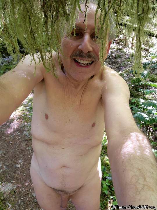 Photo of a cock from Willeum