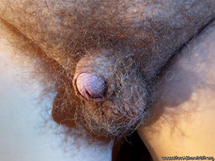 Photo of a horn from weaselface