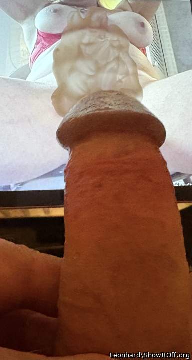Photo of a middle leg from Leonhard