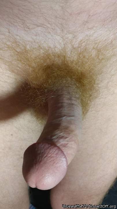 Excellent cock, wonderful pubic hair!   