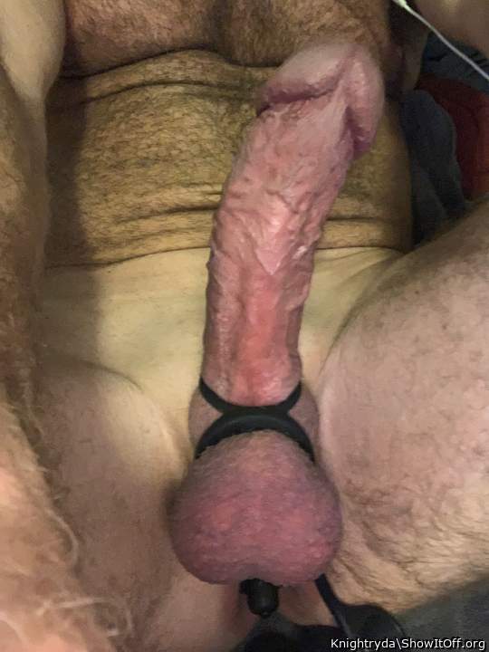 Cockring and Buttplug