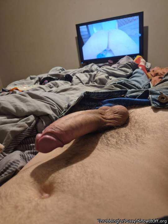 Photo of a lizard from ThrobbingforPussy